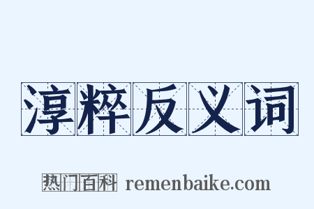 淳粹反义词是什么意思的图片